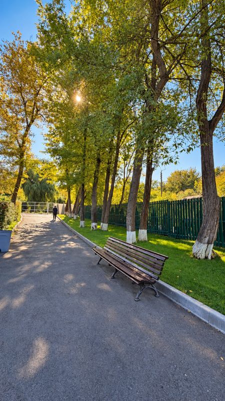Aleea de acces, cu bănci