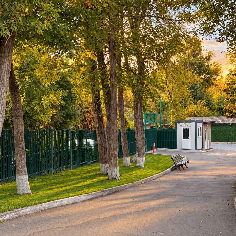 Intrarea și aleea de acces